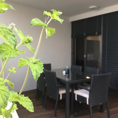 Apartment Nokturno Koper